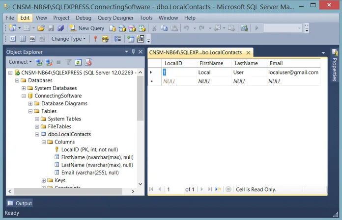 Integrazione SQL di Exchange e Salesforce immagine 33