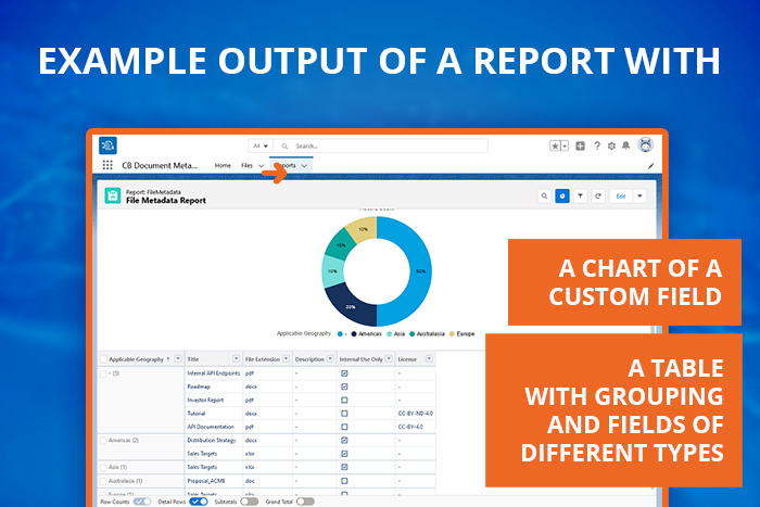 CB Document Metadata Reporting Output report