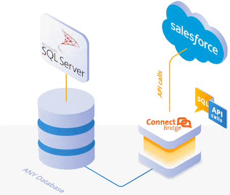 Database Salesforce Sync | Connecting Software