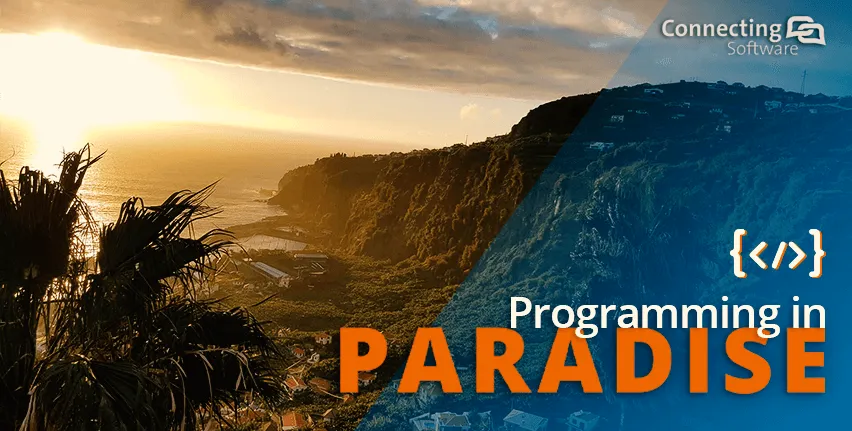программирование-в-раю-рабочее-предложение