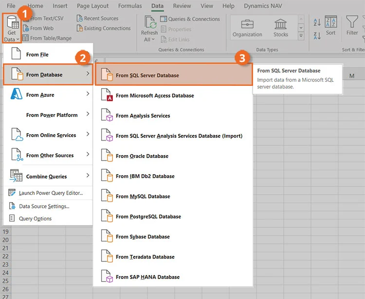 Connecter Excel à SQL - Étape 3 - Obtenir des données de la base de données du serveur SQL