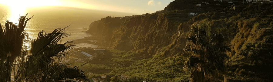 Career Madeira - trabaja con nosotros en el paraíso
